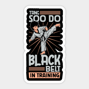 Black belt in training - Tang Soo Do Sticker